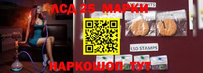гашик Малгобек