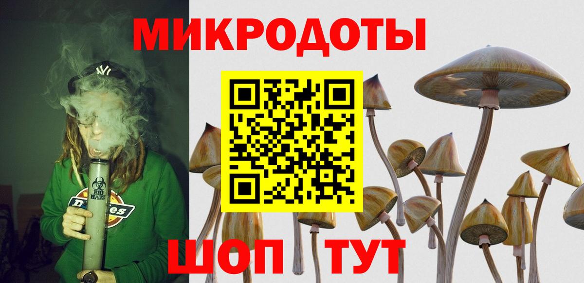 Псилоцибиновые грибы MAGIC MUSHROOMS  Вход с VPN  Псилоцибиновые грибы GOLDEN TEACHER  Петрозаводск 