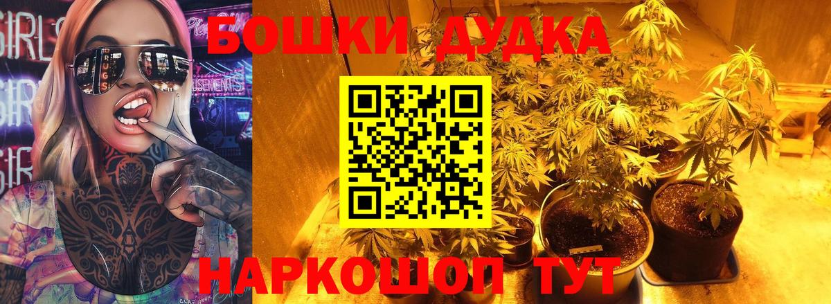 МАРИХУАНА планчик  МАРИХУАНА Amnesia  Петрозаводск  Вход с VPN  МАРИХУАНА индика  МАРИХУАНА тримм 